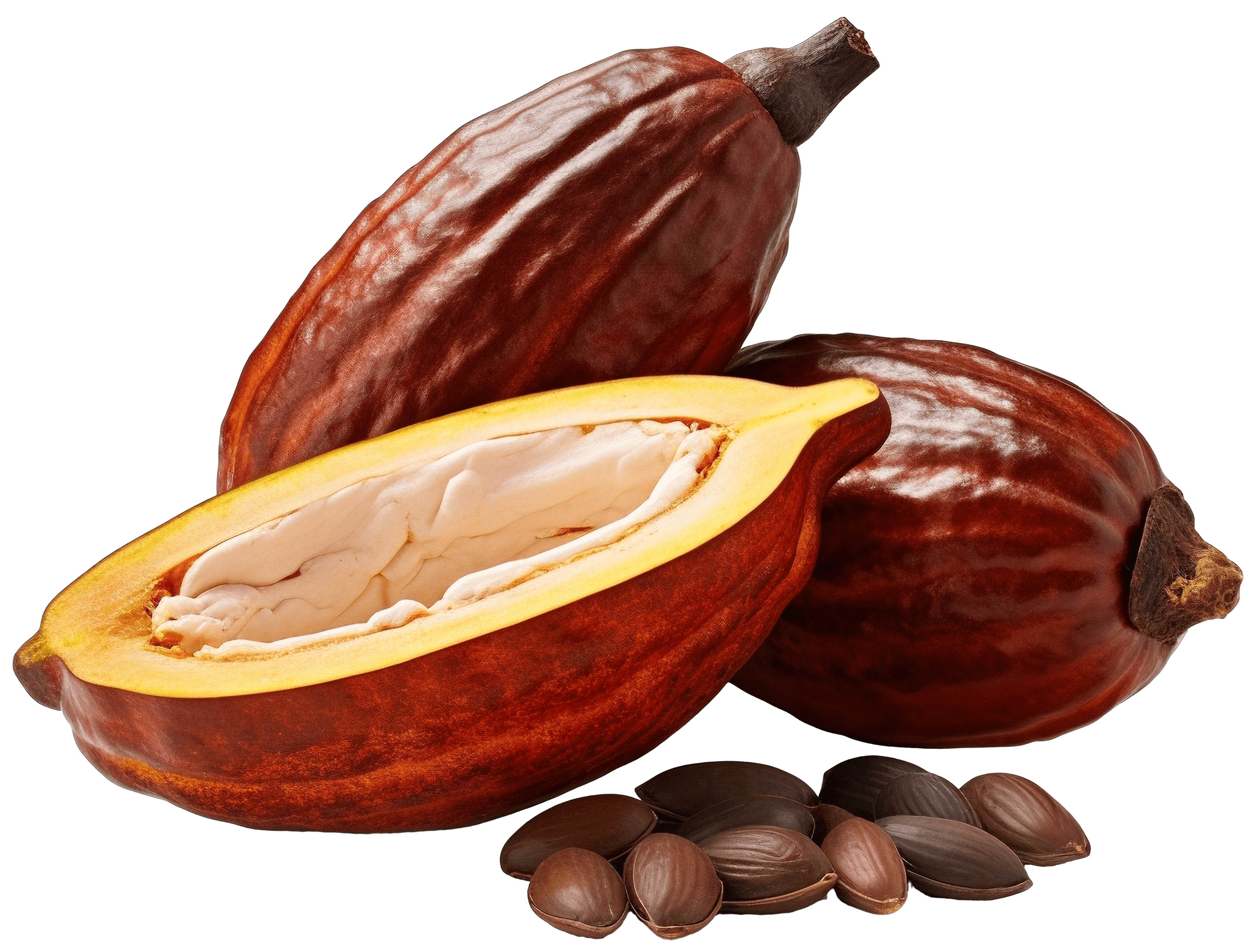 cocoa-image